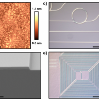 As fabricated devices